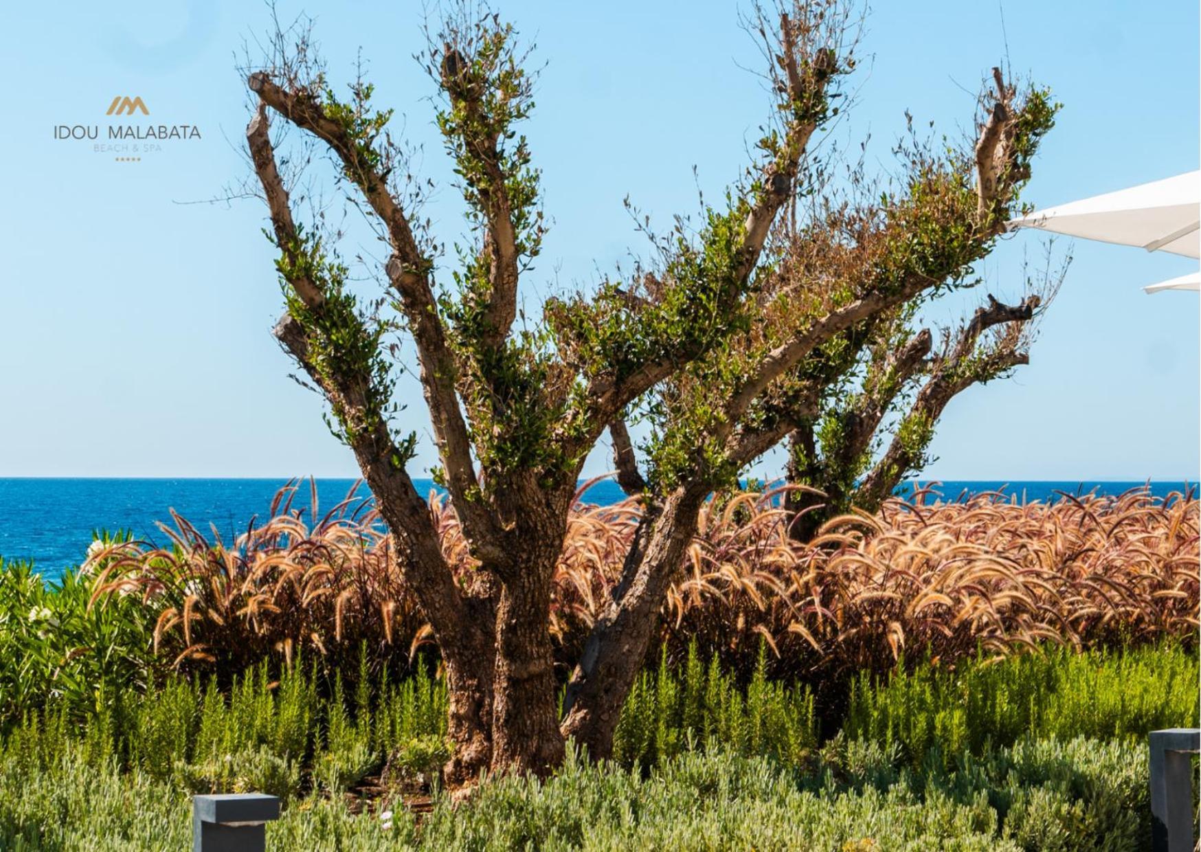 טנג'יר Idou Malabata Beach And Spa מראה חיצוני תמונה